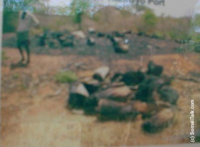 Dhirtiiooay Gubeenkuwa DhuxushaShida