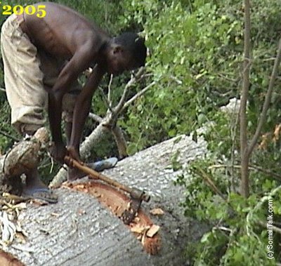 Geedkiioo uujaray Ninka xaalufiyaha a hkadibna uu u kala Goynayo labo Qaybood si uu u qaado