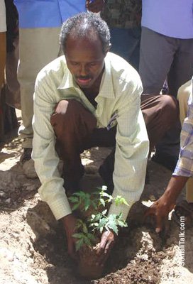 Gudoomiyaha Gobolka Bari oo Beeraya Geed Munaasabadii Dhirta AduunkaXarunta Wasaarada Xanaanada Xoolahaiyo Dhirta Magaalada Boosaaso