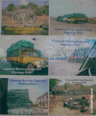 Sawiro kamida Dhirta sidaloo jaraayo iyo Dekada Kismaayo ayadoolaga Dhoofinaayo