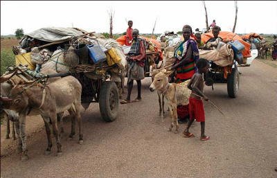 Somali families lead their donkey-laden carts
